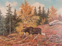 2018-3001_kitsjbilder-009_2.jpg (2018-3001_kitsjbilder-009_3.jpg)