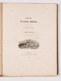 GA_001881.jpg (GA_001881_1.jpg)