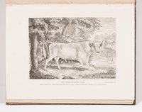 GA_001891.jpg (GA_001891_1.jpg)