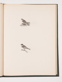 GA_001905b.jpg (GA_001905b_1.jpg)