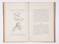 portraitparaleller3_3.jpg (portraitparaleller3_4.jpg)